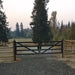 Greatbear 20 ft Farm Driveway Gate with Diagonal Tubes, Dual Swing - Serenity Provision