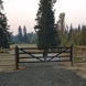 Greatbear 20 ft Farm Driveway Gate with Diagonal Tubes, Dual Swing - Serenity Provision