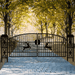Greatbear 20x8 ft Dual Swing Driveway Gate with Ornamental Posts - Serenity Provision