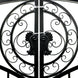 Greatbear 14x8 ft Steel Dual Swing Driveway Gate-European Style - Serenity Provision