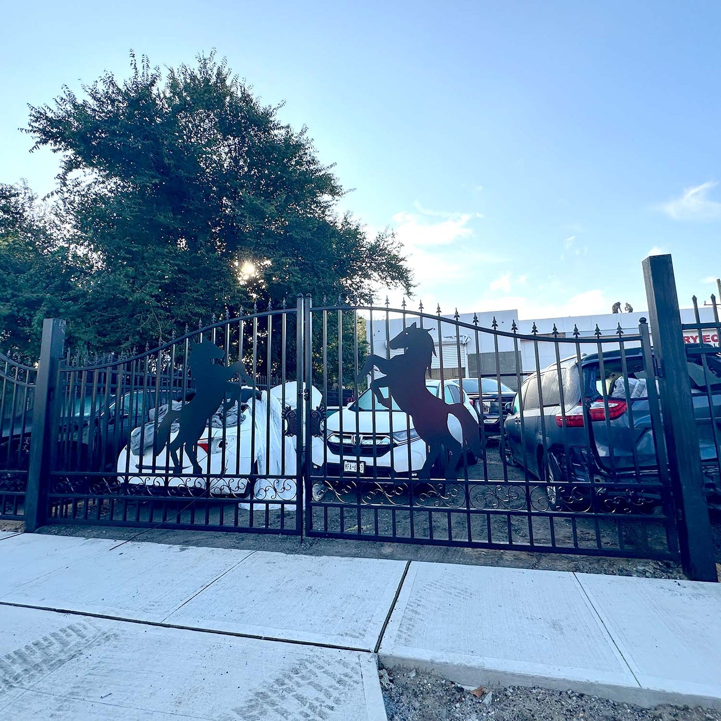 Greatbear 14x8 ft Steel Dual Swing Driveway Gate with Horse Pattern - Serenity Provision