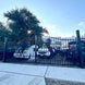 Greatbear 14x8 ft Steel Dual Swing Driveway Gate with Horse Pattern - Serenity Provision